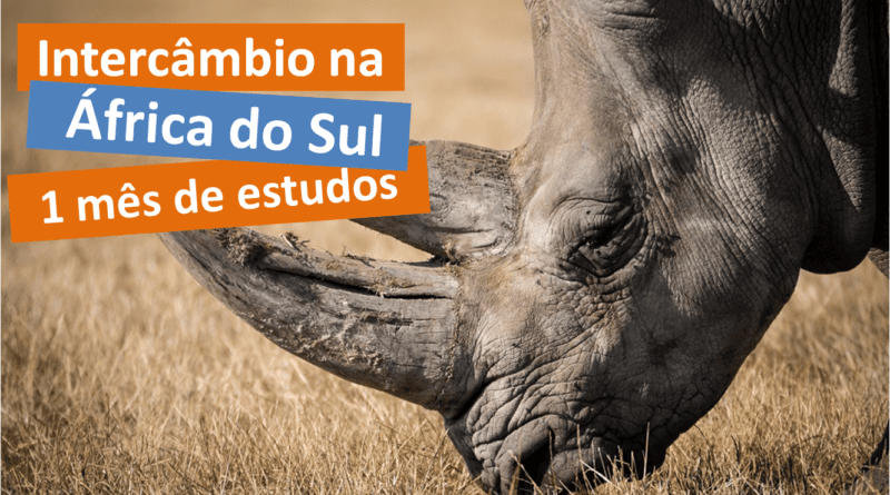 Quanto custa um intercâmbio de 1 mês na África do Sul